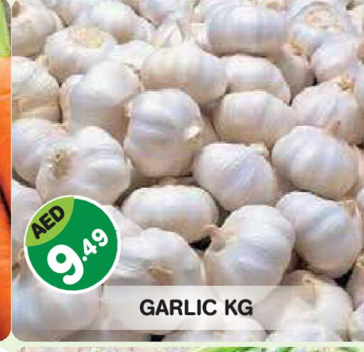 Garlic available at Baniyas Spike  in UAE - Abu Dhabi