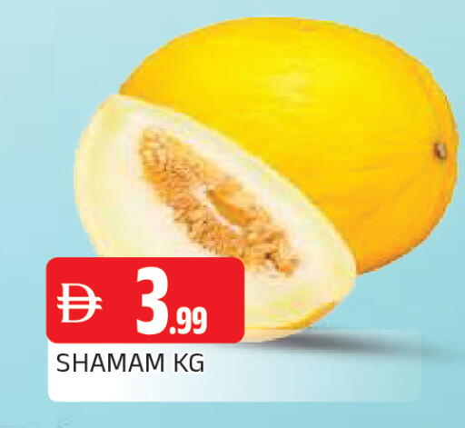 available at المدينة in الإمارات العربية المتحدة , الامارات - الشارقة / عجمان