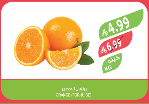 Orange available at المزرعة in مملكة العربية السعودية, السعودية, سعودية - تبوك