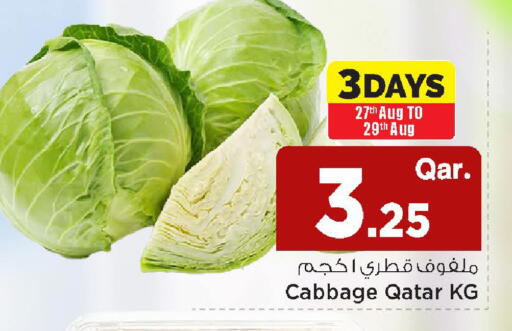 Cabbage from Qatar available at Mark & Save  in Qatar - Al Wakra