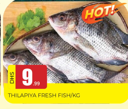 available at المدينة in الإمارات العربية المتحدة , الامارات - الشارقة / عجمان