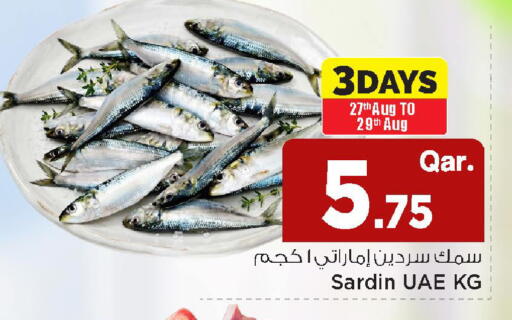 available at مارك & سيف in قطر - الضعاين