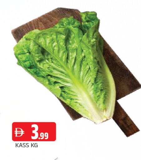 available at المدينة in الإمارات العربية المتحدة , الامارات - الشارقة / عجمان