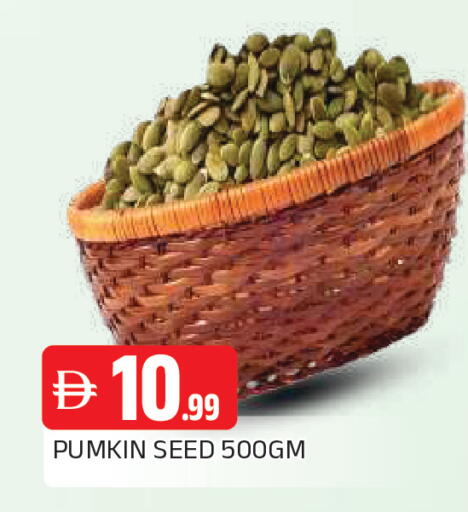 Pumkin available at المدينة in الإمارات العربية المتحدة , الامارات - الشارقة / عجمان