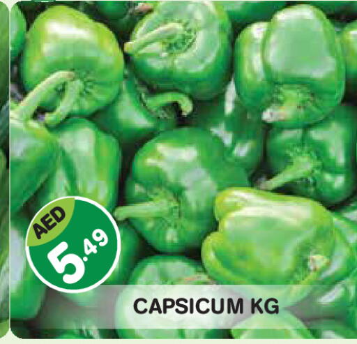 Capsicum available at Baniyas Spike  in UAE - Abu Dhabi