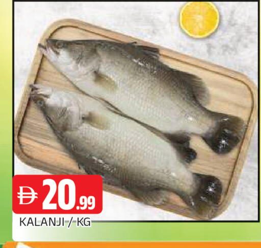 available at المدينة in الإمارات العربية المتحدة , الامارات - الشارقة / عجمان