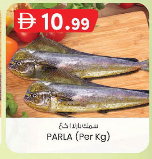 available at K M Trading  in UAE - Abu Dhabi