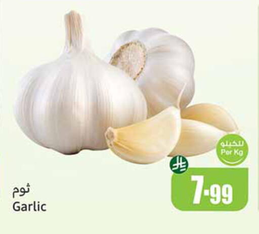 Garlic available at أسواق عبد الله العثيم in مملكة العربية السعودية, السعودية, سعودية - تبوك