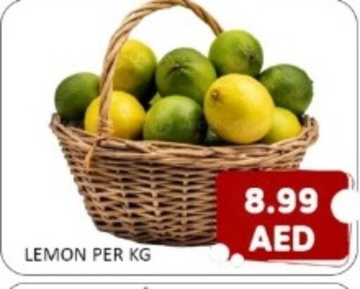 Lemon available at متجر الهدايا الخضراء in الإمارات العربية المتحدة , الامارات - أبو ظبي