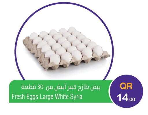 available at ميغا مارت in قطر - الخور