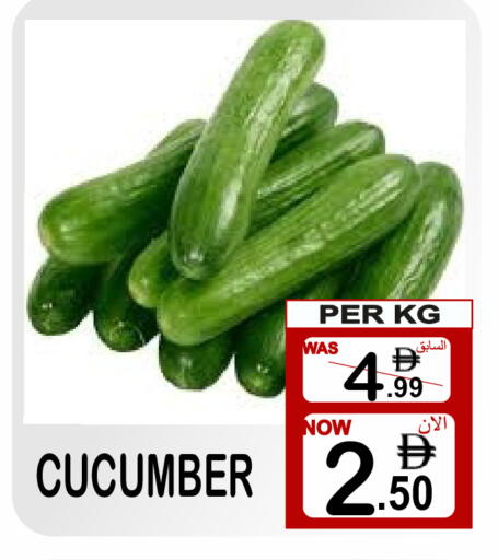 Cucumber available at Gift Point in UAE - Dubai