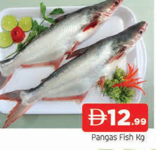 available at المدينة in الإمارات العربية المتحدة , الامارات - الشارقة / عجمان