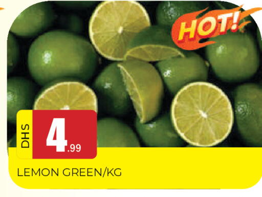 Lemon available at المدينة in الإمارات العربية المتحدة , الامارات - الشارقة / عجمان