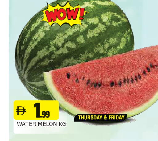 Melon available at المدينة in الإمارات العربية المتحدة , الامارات - الشارقة / عجمان
