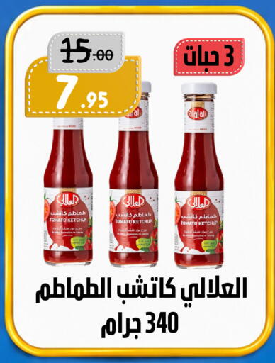 Tomato available at بن جحلان - أمام مصلى العيد in مملكة العربية السعودية, السعودية, سعودية - تبوك