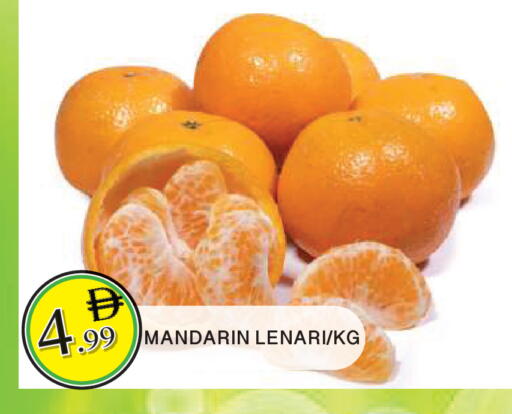 Mandarin available at المدينة in الإمارات العربية المتحدة , الامارات - الشارقة / عجمان