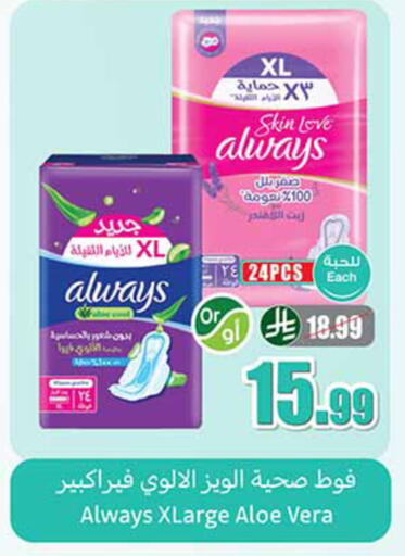 available at أسواق عبد الله العثيم in مملكة العربية السعودية, السعودية, سعودية - تبوك