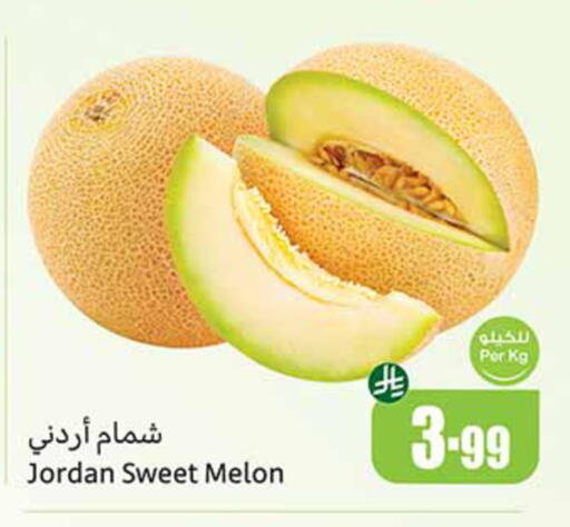 Melon available at أسواق عبد الله العثيم in مملكة العربية السعودية, السعودية, سعودية - تبوك