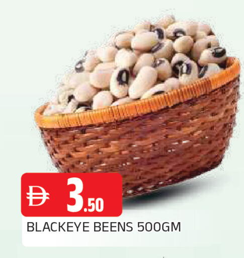 available at المدينة in الإمارات العربية المتحدة , الامارات - الشارقة / عجمان