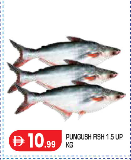 available at Baniyas Spike  in UAE - Abu Dhabi