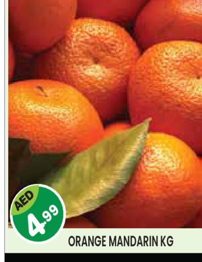 Orange Mandarin available at Baniyas Spike  in UAE - Abu Dhabi
