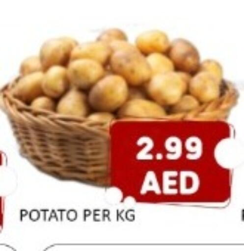 Potato available at GREEN GIFT DEPARTMENT STORE in UAE - Abu Dhabi