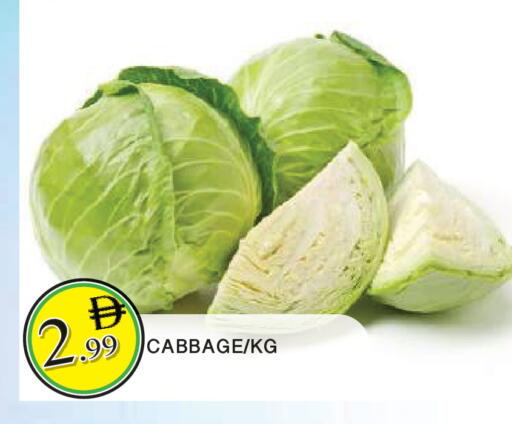 Cabbage available at المدينة in الإمارات العربية المتحدة , الامارات - الشارقة / عجمان