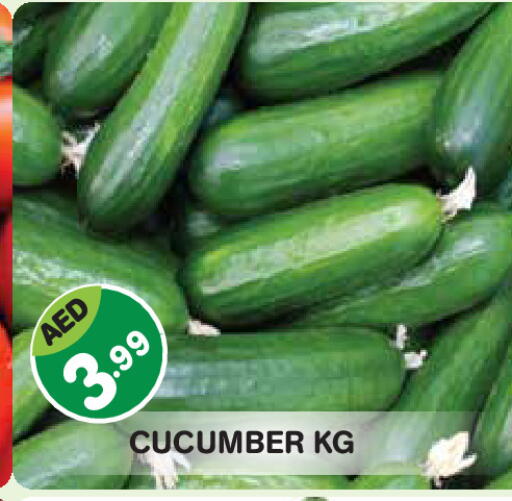 Cucumber available at Baniyas Spike  in UAE - Abu Dhabi