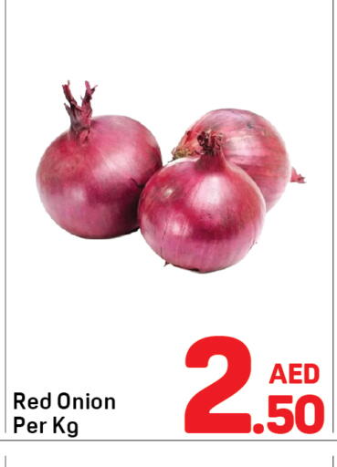 Onion available at Day to Day Department Store in UAE - Dubai