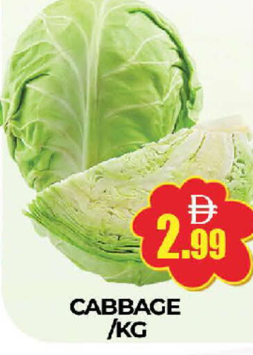 Cabbage available at AL MADINA (Dubai) in UAE - Dubai