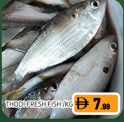 available at Ain Al Madina Hypermarket in UAE - Sharjah / Ajman