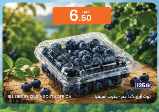 Blueberry BlueBerry from South Africa available at Al Baladi Al Yawm in Qatar - Doha