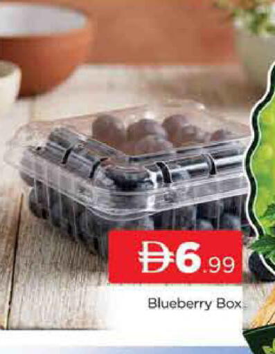 Blueberry BlueBerry available at المدينة in الإمارات العربية المتحدة , الامارات - دبي