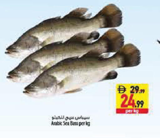 available at السفير ماركت in الإمارات العربية المتحدة , الامارات - أبو ظبي