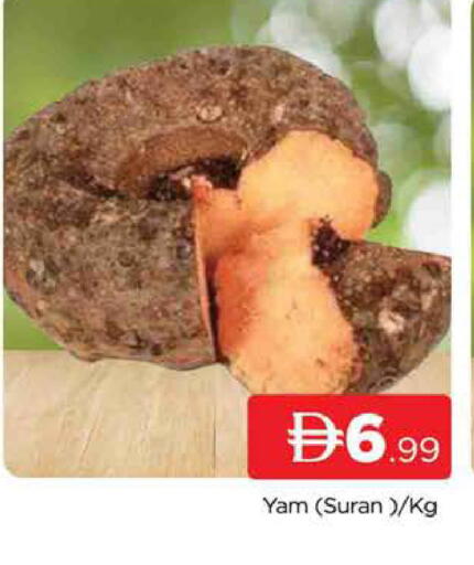 available at المدينة in الإمارات العربية المتحدة , الامارات - دبي