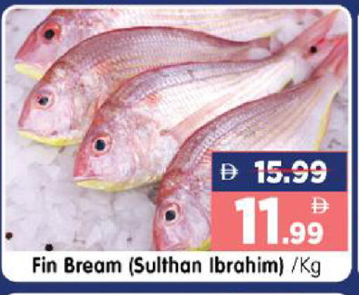 available at هايبر ماركت المدينة in الإمارات العربية المتحدة , الامارات - أبو ظبي