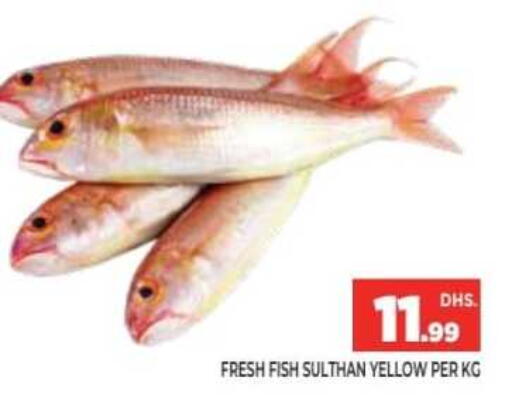 available at Ainas Al madina hypermarket in UAE - Sharjah / Ajman