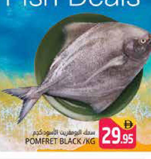 available at هايبر ماركت باسونز in الإمارات العربية المتحدة , الامارات - دبي