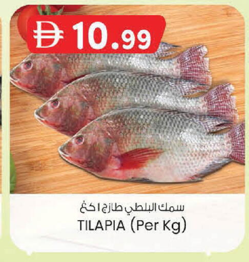 available at ك. الم. للتجارة in الإمارات العربية المتحدة , الامارات - أبو ظبي