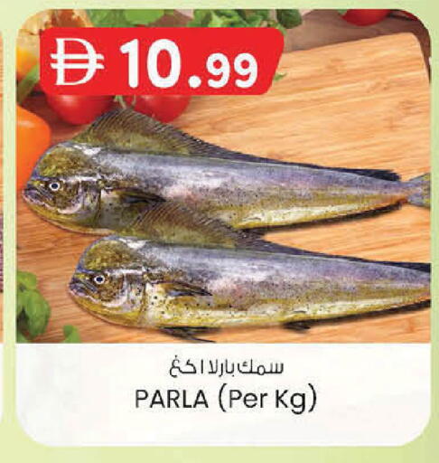 available at ك. الم. للتجارة in الإمارات العربية المتحدة , الامارات - أبو ظبي