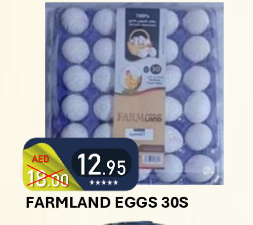 available at رويال جلف هايبرماركت in الإمارات العربية المتحدة , الامارات - أبو ظبي