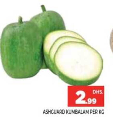 available at Ainas Al madina hypermarket in UAE - Sharjah / Ajman