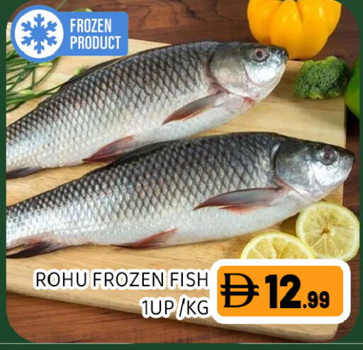 available at Ain Al Madina Hypermarket in UAE - Sharjah / Ajman