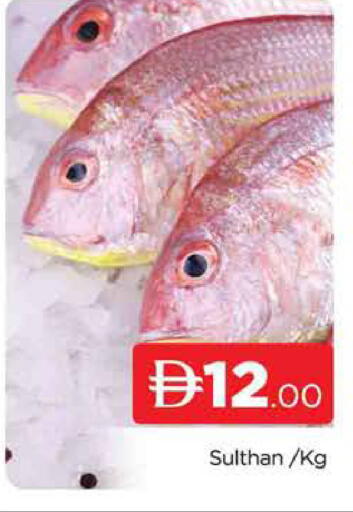 available at المدينة in الإمارات العربية المتحدة , الامارات - دبي