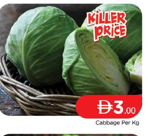 Cabbage available at AL MADINA (Dubai) in UAE - Dubai