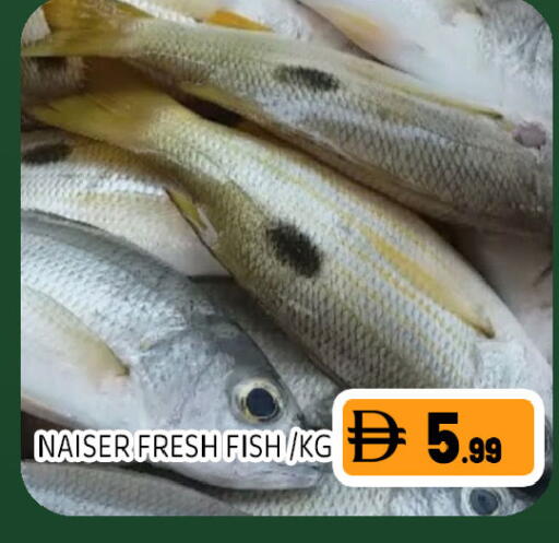 available at Ain Al Madina Hypermarket in UAE - Sharjah / Ajman