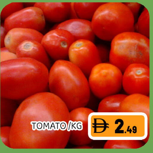 Tomato available at Ain Al Madina Hypermarket in UAE - Sharjah / Ajman