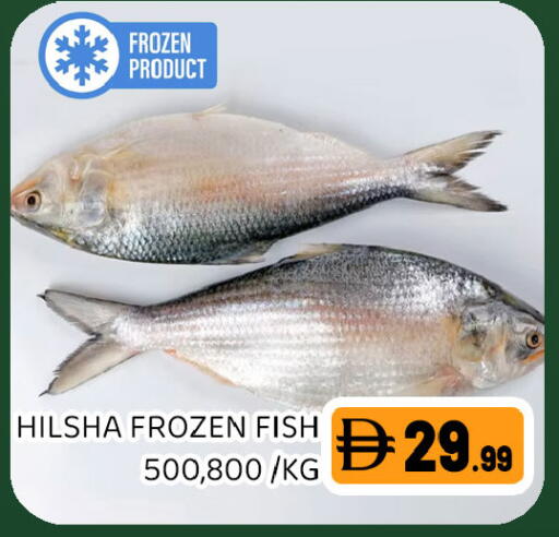 available at Ain Al Madina Hypermarket in UAE - Sharjah / Ajman