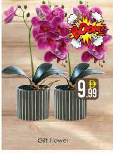 available at AIKO Mall and AIKO Hypermarket in UAE - Dubai