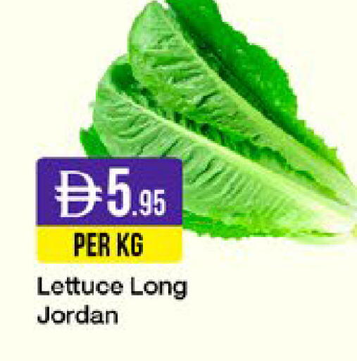Lettuce from Jordan available at West Zone Supermarket in UAE - Sharjah / Ajman